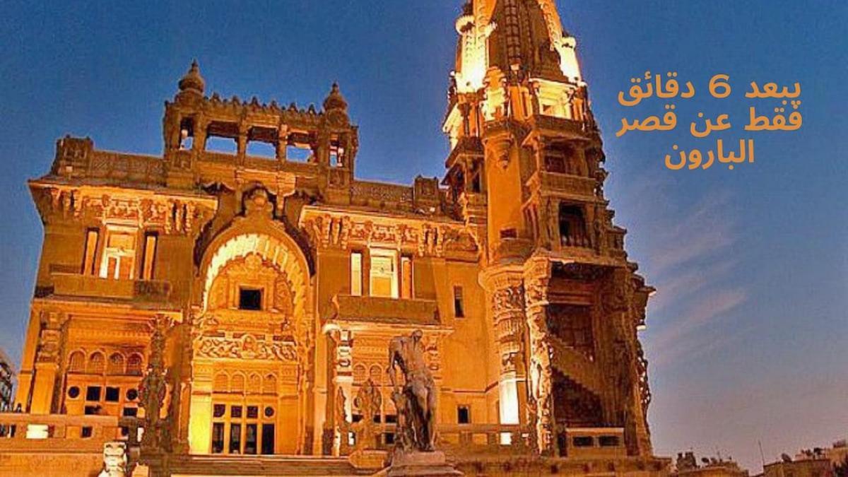 Tree Serviced Cairo